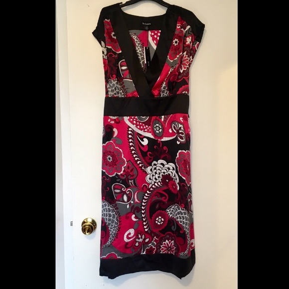 NWT 100% Silk Pink and Black High Waist Dress - Picture 2 of 13
